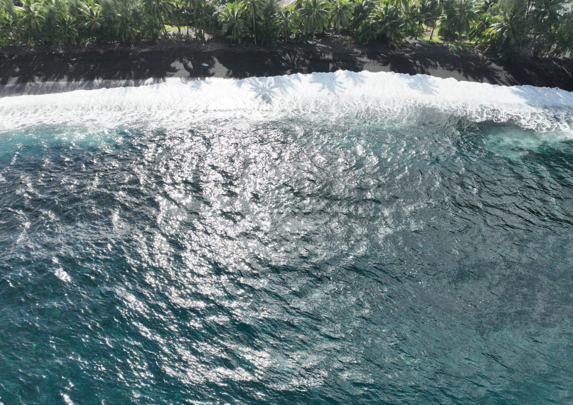 Polynesian Sky Views