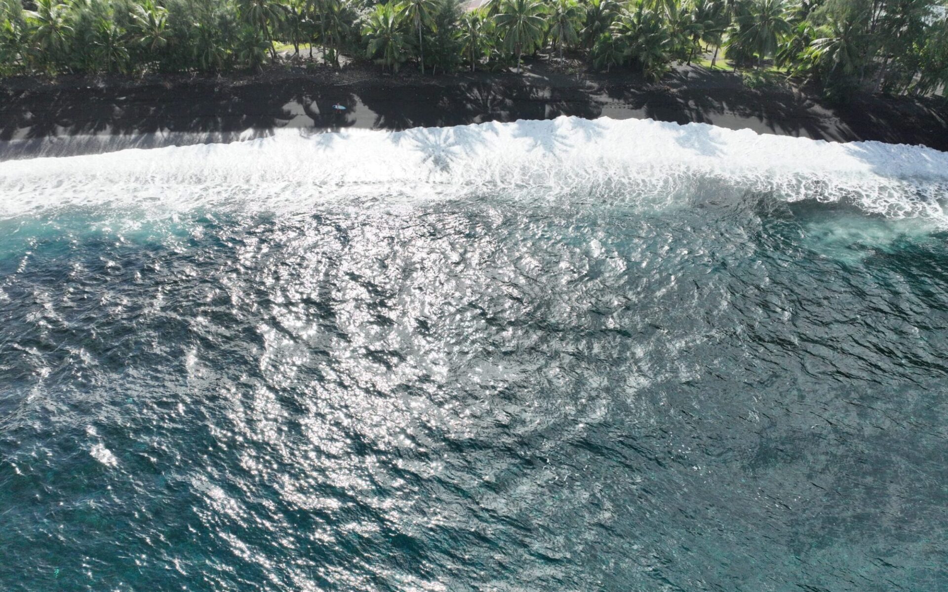 Polynesian Sky Views